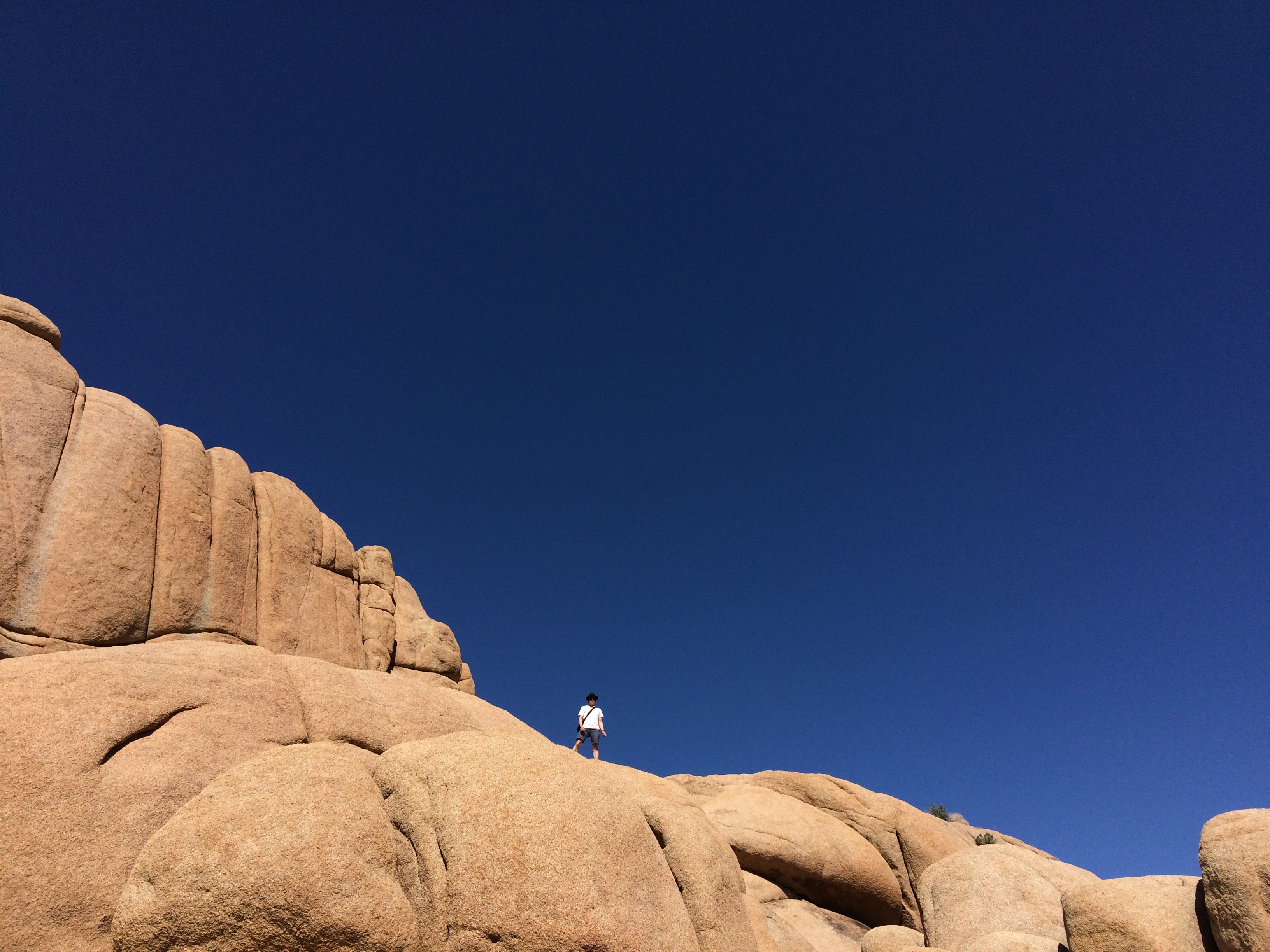 Joshua Tree, Jumbo Rocks, Justin